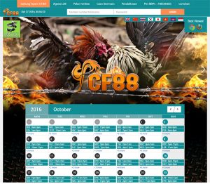 Tampilan dari situs cf88