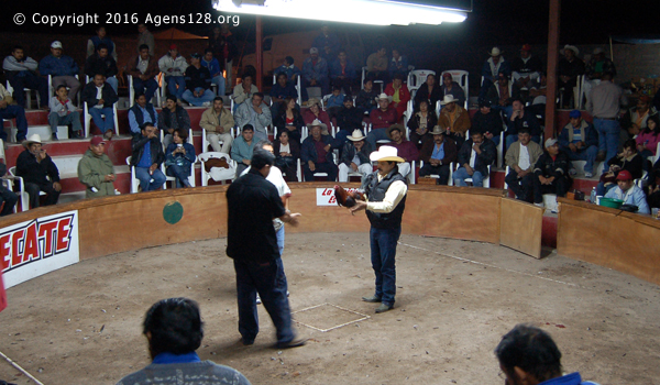 mexico cockfighting