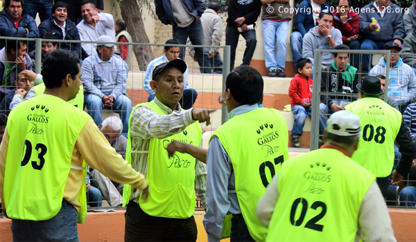 official-peruvian-bettor