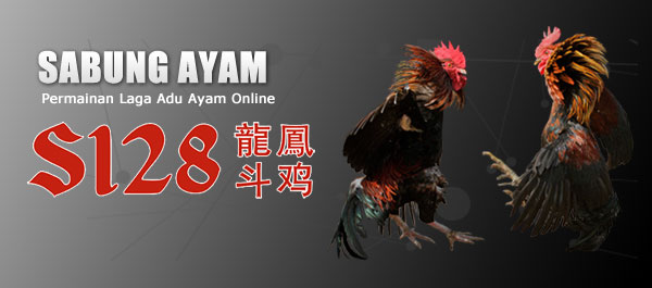 sabung-ayam-s128-di-998bett