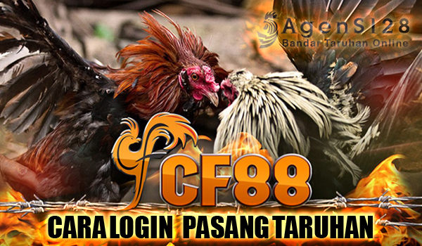 Tutorial CF88 Cara Login dan Memasang Taruhan