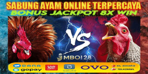 MBO128 : Agen Judi Sabung Ayam Online SV388 Terpercaya 2024